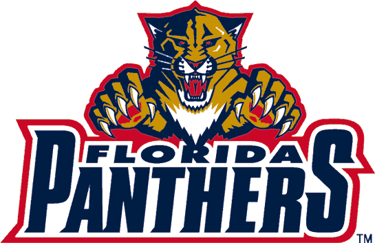Florida Panthers 1999-2009 Wordmark Logo iron on heat transfer...